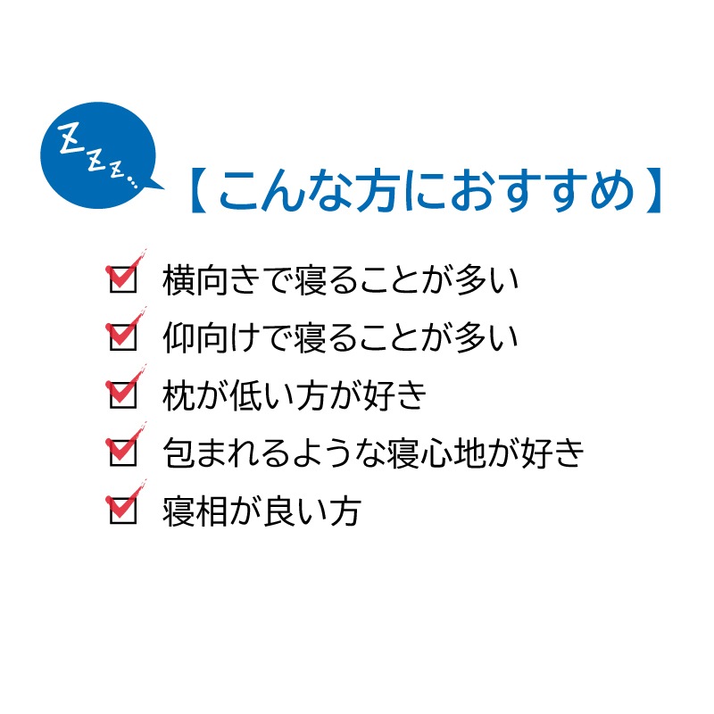 ڥۥߥ󥰥٥åɥåȡ504ɥץ쥤ߥࡡSKʬ䥿