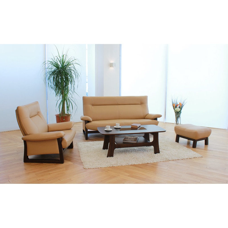 �ڥ����ҡ� 3�ͳݤ����ե����ѥ󥵡�3PL��B��Ⱦ�סˡ��񻺲ȶ�