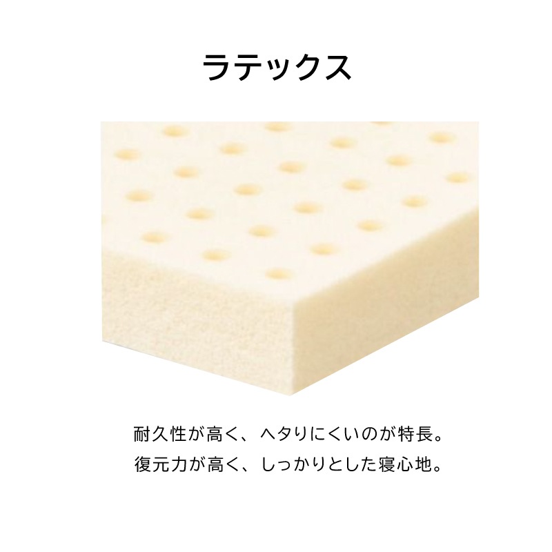 ڥۥߥ֥٥åɥåȡۥƥ륹595(å)ʥ륹6.8