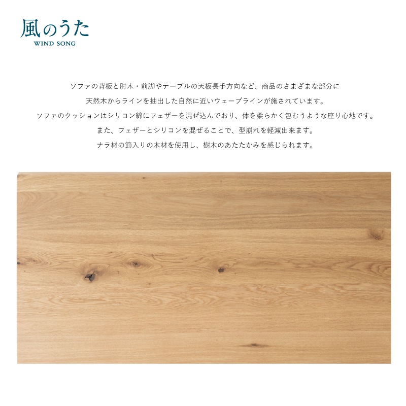 ͻȡΤ3ͳݤեFX130WL185cm(E/)ʥ() /WO񻺲ȶ