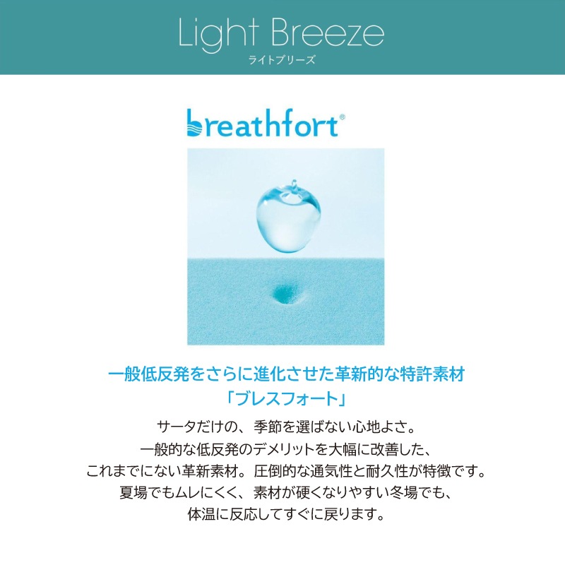 �ץ�ߥ���ޥåȥ쥹�ڥ������ۥ��ߥ��֥�٥åɥ��åȡ��ۥƥ륹������595(��å�������)�������������ɥץ�ߥ���