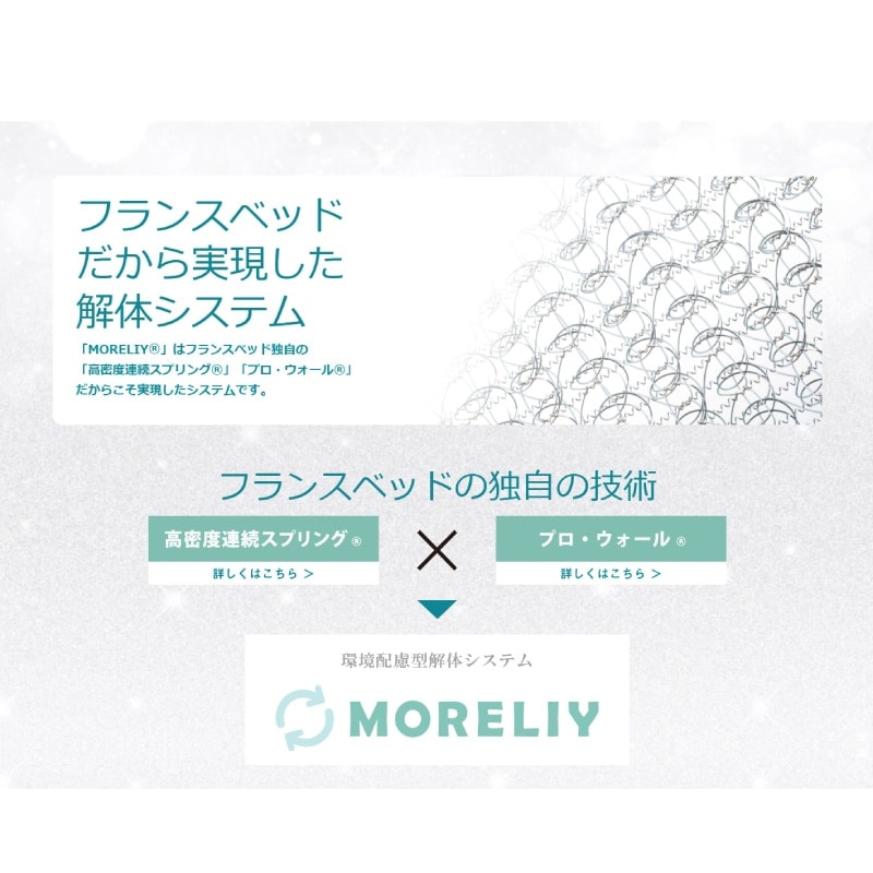 �ڥե�󥹥٥åɡۥ��ߥ��֥�٥åɥ��åȡʥ�å������ס�LT-9900PW MON�ޥåȥ쥹��FAD-C3