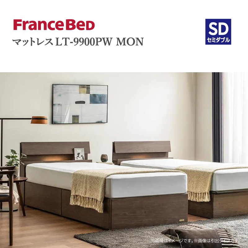 �ڥե�󥹥٥åɡۥ��ߥ��֥�٥åɥ��åȡʥ�å������ס�LT-9900PW MON�ޥåȥ쥹��FAD-C2