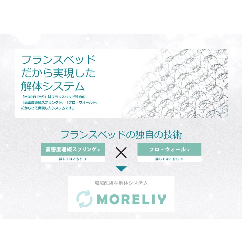 �ڥե�󥹥٥åɡۥ��ߥ��֥�٥åɥ��åȡʰ��Ф������ס˥��ǥ�EY-02C-DR��LT-5500PW��MON�ޥåȥ쥹