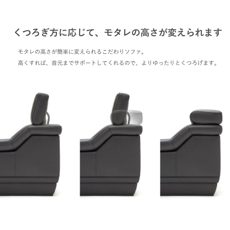 �ڥ���⥯��3�ͳݤ���ĥ��(���եȥ��쥤��)���ե������ġ����դ� ZW5303+ZW5316 ��206cm karimoku���񻺲ȶ�