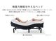 �ڥƥ�ԥ塼�����ư�٥åɥ��å� ���ߥ��֥롡ZERO-G Comfort/Pro��SD�ե졼�� ZERO-G Comfort��SD�ޥåȥ쥹 Pro