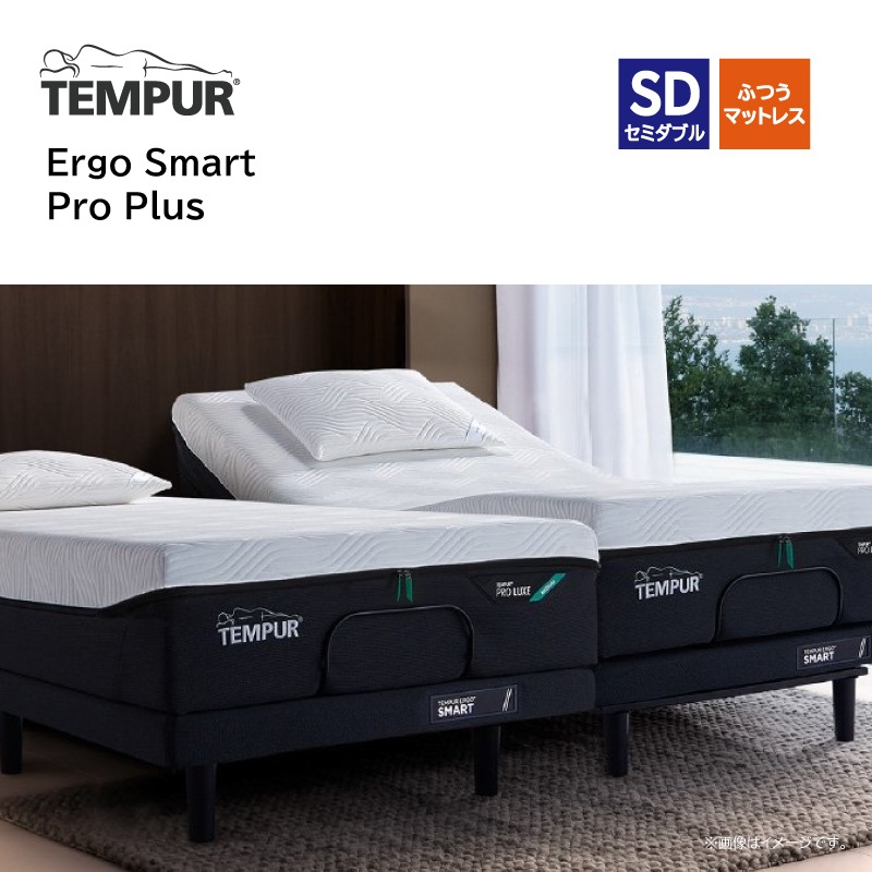 �ڥƥ�ԥ塼�����ư�٥åɥ��å� ���ߥ��֥롡Ergo Smart/Pro Plus��SD�ե졼�� Ergo Smart��SD�ޥåȥ쥹 Pro Plus