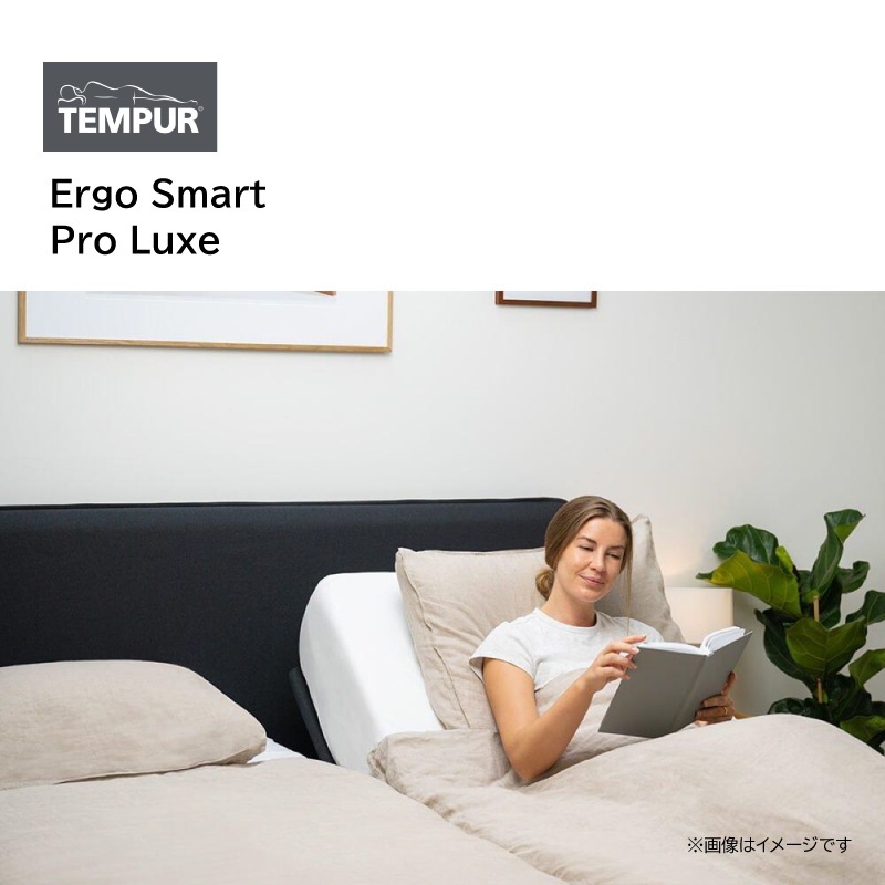 �ڥƥ�ԥ塼�����ư�٥åɥ��å� ���ߥ��֥롡Ergo Smart/Pro��SD�ե졼�� Ergo Smart��SD�ޥåȥ쥹 Pro