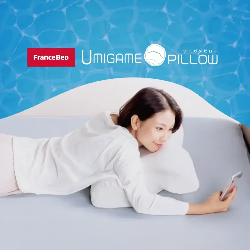 FranceBed　ウミガメピロー