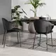 【2脚セット】カリガリス ホリー ダイニングチェア ／ Calligaris HOLLY Dining chair【CS2037-J】