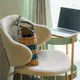 【2脚セット】カリガリス ホリー ダイニングチェア ／ Calligaris HOLLY Dining chair【CS2037-J】