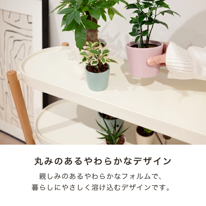 SUNSUN（サンサン）ディスプレイラック