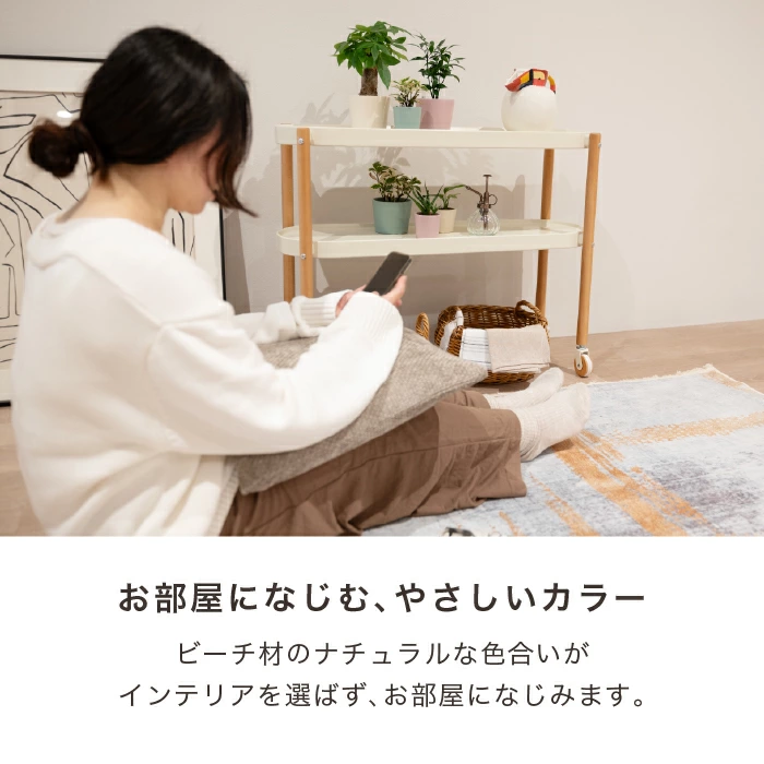 SUNSUN（サンサン）ディスプレイラック
