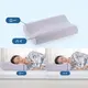 FranceBed　ZUKANピロー