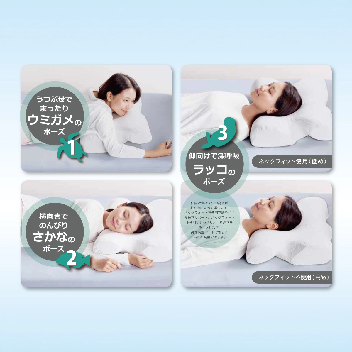 FranceBed　ウミガメピロー