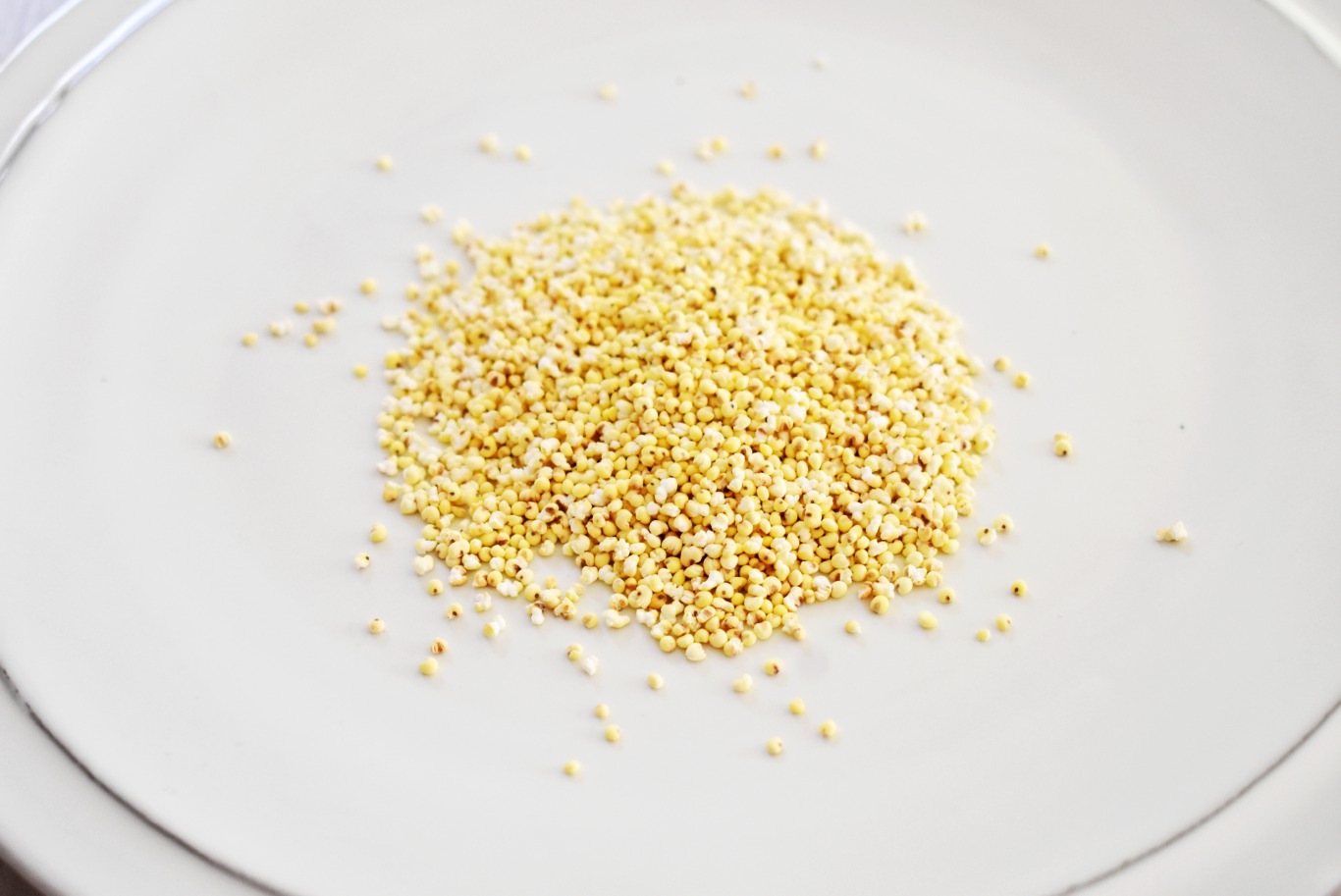 低発泡 イナキビ