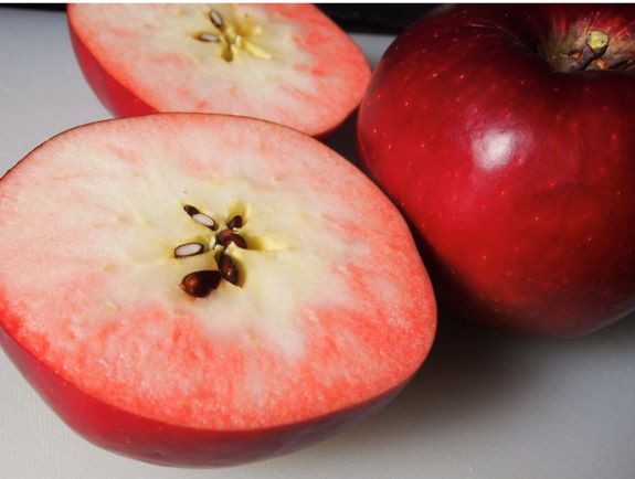 紅ノ夢コンポートセミドライ 1kg×3袋