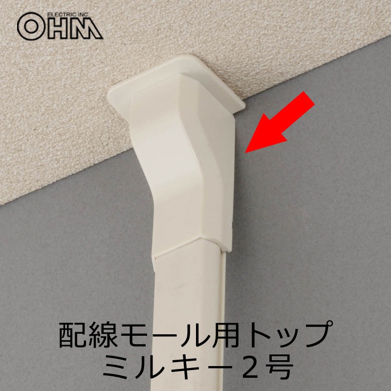 配線モール モールトップ 2号 ミルキー_DZ-FMT2MW 09-2281 ｜通販なら