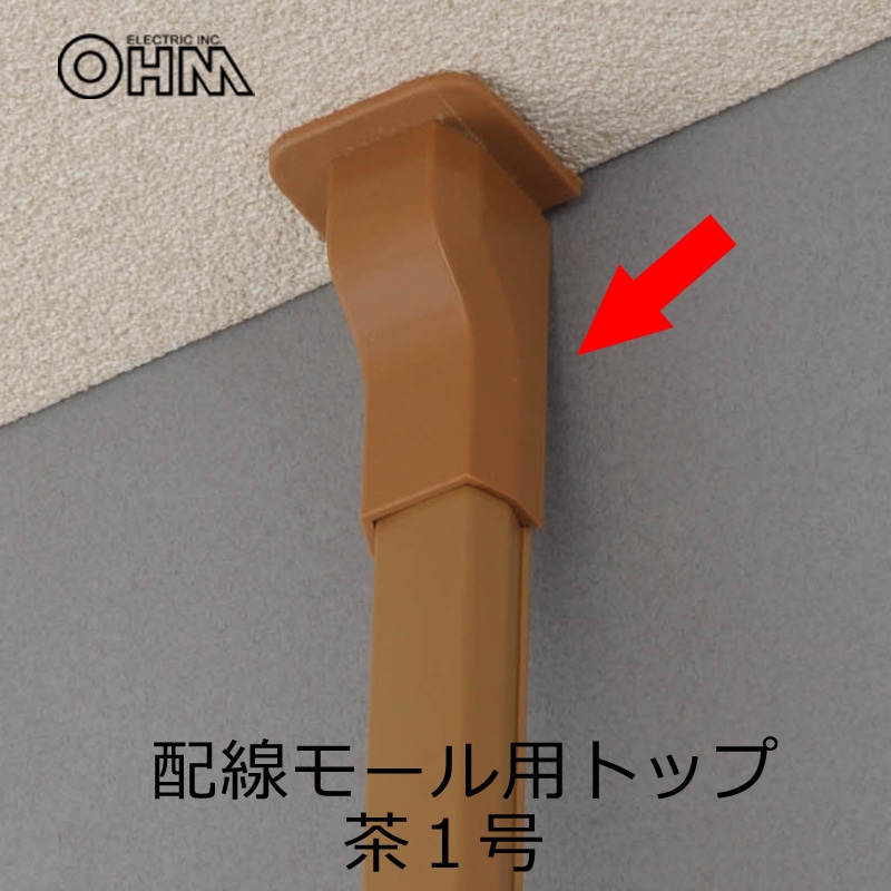 配線モール モールトップ 1号 茶_DZ-FMT1BR 09-2283｜通販なら