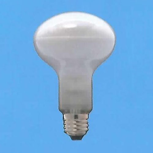 旭光 レフランプ 100W フロスト 口金E26｜080400 16-4054｜通販なら