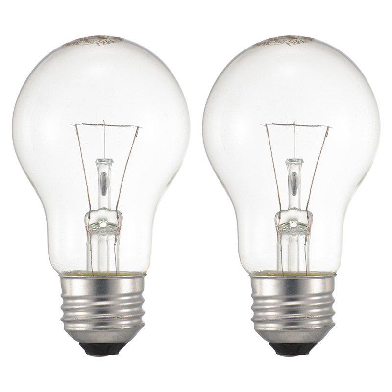 オーム電機 100W形 E26電球 2個入り まとめ売り 電球 シリカ電球 E26 白熱