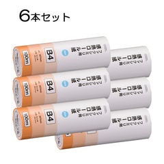 6ܥåȡ۴Ǯ եߥ B4 1 100mOA-FTRB100B st01-0734s