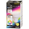 LEDŵ ϥ׷ Bluetoothб E11  Ĵ/ĴסLDR7-M-E11/RGB/I1 06-0976