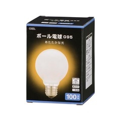 �ܡ����ŵ� E26 100W�� G95 �ۥ磻�ȡ�LB-G9695K-WN 06-0876