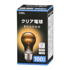 Ǯŵ E26 100W ꥢLB-D66100CN 06-4737