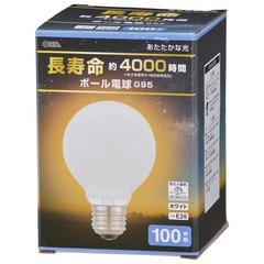 Ĺ��̿�ܡ����ŵ�E26 100W�� G95�ۥ磻�ȡ�LB-GL96100K-WN 06-0866