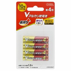 V���륫�괥���� 10ǯ��¸ ñ4�� 4������LR03VB4P 08-4134