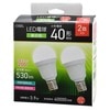 LEDŵ微 E17 40  2LDA4N-G-E17 IS53 2P 06-5479