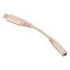 AudioComm �Ѵ������ץ��� Type-C/��3.5mm ���ѵ� 0.1m��SMT-P7317-N 01-7317
