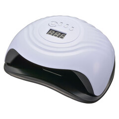 Iberis �վ��դ��ͥ���饤�ȡ�HBN-AZUV17 00-8358