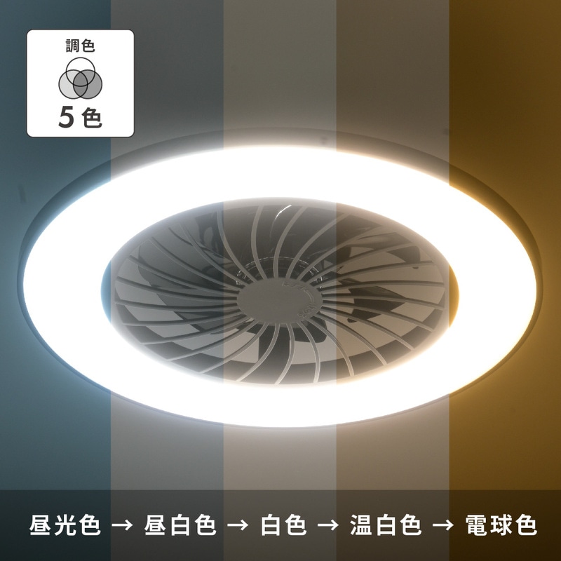 ファン付きLEDシーリングライト 12畳用 調光調色 黒｜LE-YF49T12Y-K 06