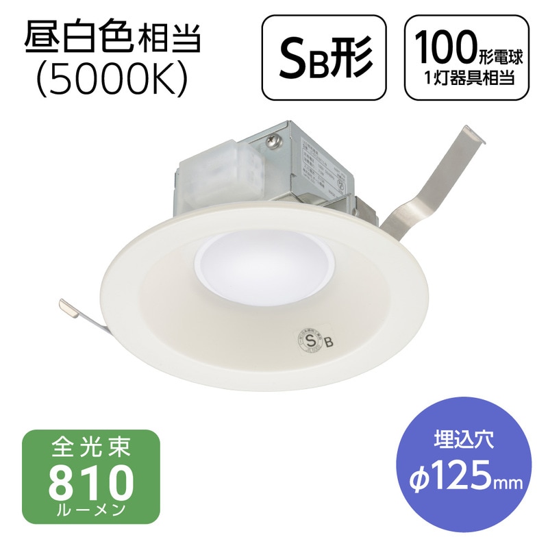 LEDダウンライト 100形相当 昼白色相当 5000K｜LT-D1210111-N 06-5132