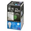�߸�LED�ŵ� E26 60������ �������LDA7D-G L5 06-5746