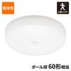 LED�ߥ˥�����󥰥饤�� �ʹ����󥵡� 60�� 820�롼��� �ŵ忧��LE-Y7RB-WL 06-5066
