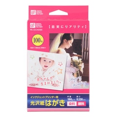 ���󥯥����åȥץ�󥿡��� ������ �Ϥ��� 100���PA-DCHS100 01-3664