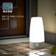 LED���󥵡��饤�� ���ſʹ����󥵡� �����Ӽ���NIT-BHA4DW 06-5273