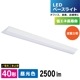 LED١饤 ٻη 40 2500lm LT-BS4200V20N-D 06-5146