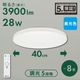 E-Bright LED������󥰥饤�� 8���� Ĵ�� �������LE-YH28D8Y-W40 06-5976