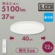 E-Bright LED������󥰥饤�� 12���� Ĵ�� �������LE-YH37D12Y-W40 06-5977