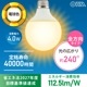 LEDŵܡŵE26 40 G80ŵ忧LDG4L 8AG6 06-5523