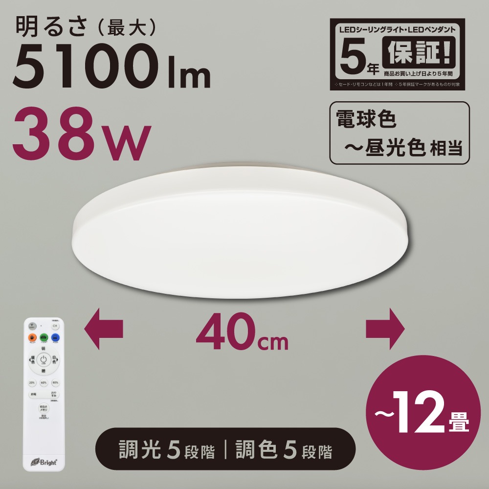 E-Bright LED������󥰥饤�� Ĵ��Ĵ�� 12���ѡ�LE-YH38T12Y-W40 06-5980