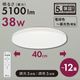 E-Bright LED������󥰥饤�� Ĵ��Ĵ�� 12���ѡ�LE-YH38T12Y-W40 06-5980