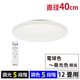 E-Bright LED������󥰥饤�� Ĵ��Ĵ�� 12���ѡ�LE-YH38T12Y-W40 06-5980