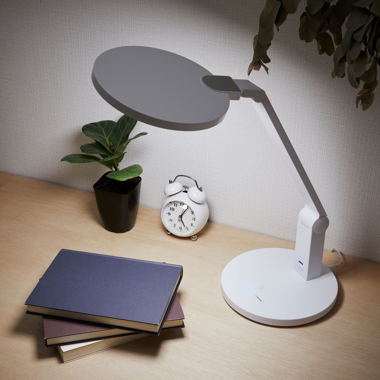 LEDǥ ֥롼饤ȥå ۥ磻ȡDS-LS78-W 06-3836