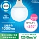 LED�ŵ�ܡ����ŵ��E26 60������ G80�������LDG6D 8AG6 06-5526
