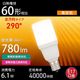 LED�ŵ微�� E17 60������ �ŵ忧��LDT6L-G-E17 IS5 06-4998